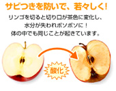 �R�_����p,������,�����_�f